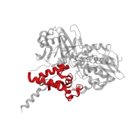 The deposited structure of PDB entry 1oj9 contains 2 copies of CATH domain 1.10.405.10 (Guanine Nucleotide Dissociation Inhibitor; domain 1) in Amine oxidase [flavin-containing] B. Showing 1 copy in chain A.