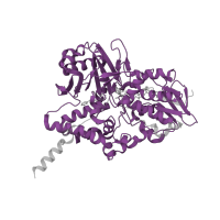 The deposited structure of PDB entry 1oj9 contains 2 copies of Pfam domain PF01593 (Flavin containing amine oxidoreductase) in Amine oxidase [flavin-containing] B. Showing 1 copy in chain A.