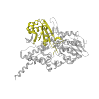 The deposited structure of PDB entry 1oj9 contains 2 copies of SCOP domain 54394 (L-aminoacid/polyamine oxidase) in Amine oxidase [flavin-containing] B. Showing 1 copy in chain A.