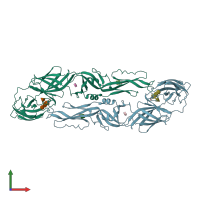 PDB entry 1oke coloured by chain, front view.