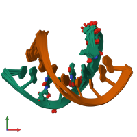 PDB entry 1okf coloured by chain, ensemble of 20 models, front view.