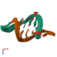 PDB entry 1okf coloured by chain, ensemble of 20 models, top view.
