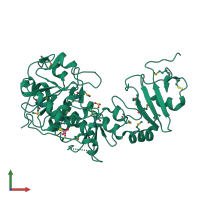 PDB entry 1okg coloured by chain, front view.