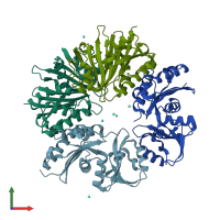 PDB entry 1okj coloured by chain, front view.