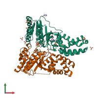 PDB entry 1okk coloured by chain, front view.