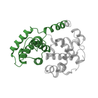 The deposited structure of PDB entry 1ol1 contains 2 copies of Pfam domain PF00134 (Cyclin, N-terminal domain) in Cyclin-A2. Showing 1 copy in chain B.