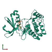 PDB entry 1ol6 coloured by chain, front view.