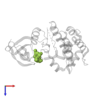 ADENOSINE-5'-TRIPHOSPHATE in PDB entry 1ol6, assembly 1, top view.