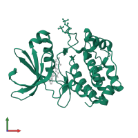 Aurora kinase A in PDB entry 1ol7, assembly 1, front view.