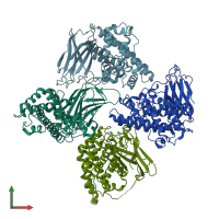 PDB entry 1olp coloured by chain, front view.