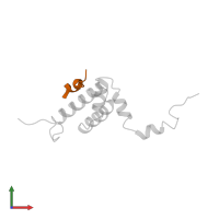 Aldehyde dehydrogenase, mitochondrial in PDB entry 1om2, assembly 1, front view.