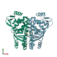 PDB entry 1omi coloured by chain, front view.