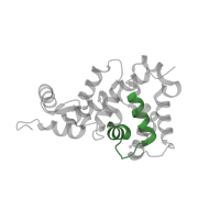 The deposited structure of PDB entry 1omr contains 1 copy of Pfam domain PF00036 (EF hand) in Recoverin. Showing 1 copy in chain A.