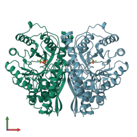 PDB entry 1one coloured by chain, front view.