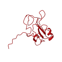 The deposited structure of PDB entry 1oo3 contains 1 copy of CATH domain 3.30.505.10 (SHC Adaptor Protein) in Phosphatidylinositol 3-kinase regulatory subunit alpha. Showing 1 copy in chain A.