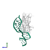 RNA aptamer in PDB entry 1ooa, assembly 1, side view.