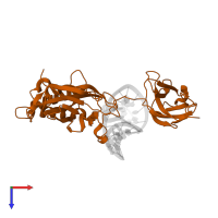 Nuclear factor NF-kappa-B p50 subunit in PDB entry 1ooa, assembly 1, top view.