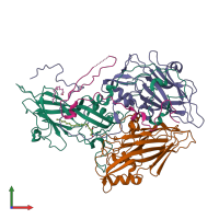 PDB entry 1oop coloured by chain, front view.
