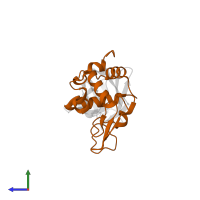 Lysozyme C in PDB entry 1op9, assembly 1, side view.