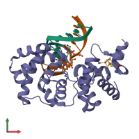 PDB entry 1orn coloured by chain, front view.