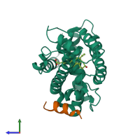 Hetero dimeric assembly 1 of PDB entry 1ot7 coloured by chemically distinct molecules, side view.