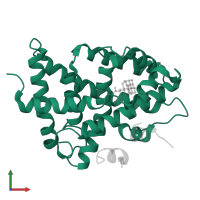 Bile acid receptor in PDB entry 1ot7, assembly 2, front view.