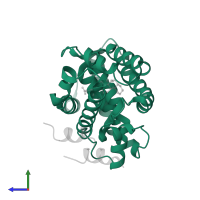 Bile acid receptor in PDB entry 1ot7, assembly 2, side view.