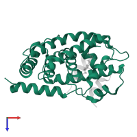 Bile acid receptor in PDB entry 1ot7, assembly 2, top view.