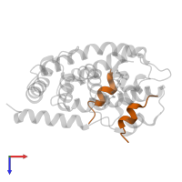 dodecamer peptide fragment of RPGR-interacting protein 1 in PDB entry 1ot7, assembly 2, top view.