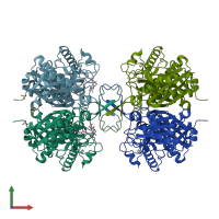PDB entry 1ou6 coloured by chain, front view.