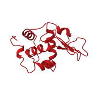 The deposited structure of PDB entry 1oui contains 1 copy of CATH domain 1.10.530.10 (Lysozyme) in Lysozyme C. Showing 1 copy in chain A.