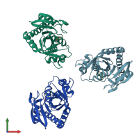 PDB entry 1oum coloured by chain, front view.