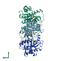 PDB entry 1oum coloured by chain, side view.