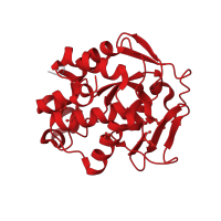 The deposited structure of PDB entry 1ouo contains 1 copy of Pfam domain PF04231 (Endonuclease I) in Endonuclease I. Showing 1 copy in chain A.