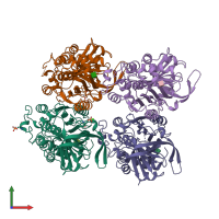 PDB entry 1ova coloured by chain, front view.