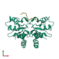 Homo dimeric assembly 10 of PDB entry 1oxn coloured by chemically distinct molecules, front view.