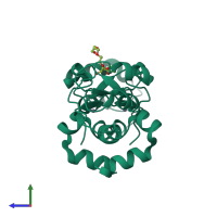 Homo dimeric assembly 10 of PDB entry 1oxn coloured by chemically distinct molecules, side view.