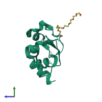 Monomeric assembly 4 of PDB entry 1oxn coloured by chemically distinct molecules, side view.