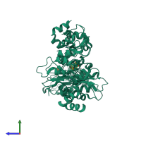 Hetero hexameric assembly 6 of PDB entry 1oxn coloured by chemically distinct molecules, side view.