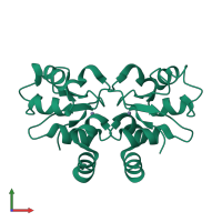 Homo dimeric assembly 8 of PDB entry 1oxn coloured by chemically distinct molecules, front view.
