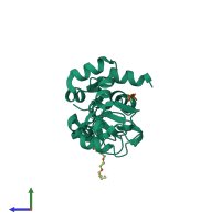 Hetero trimeric assembly 9 of PDB entry 1oxn coloured by chemically distinct molecules, side view.