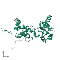 Baculoviral IAP repeat-containing protein 7 30kDa subunit in PDB entry 1oxn, assembly 9, front view.