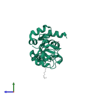 Baculoviral IAP repeat-containing protein 7 30kDa subunit in PDB entry 1oxn, assembly 9, side view.