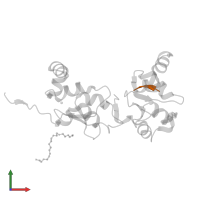 AEAVPWKSE peptide in PDB entry 1oxn, assembly 9, front view.