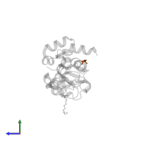 AEAVPWKSE peptide in PDB entry 1oxn, assembly 9, side view.