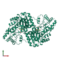 Homo dimeric assembly 1 of PDB entry 1oxp coloured by chemically distinct molecules, front view.