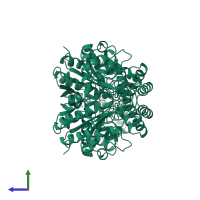 Aspartate aminotransferase, mitochondrial in PDB entry 1oxp, assembly 1, side view.