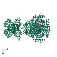Homo dimeric assembly 1 of PDB entry 1oz0 coloured by chemically distinct molecules, top view.