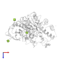 2-acetamido-2-deoxy-beta-D-glucopyranose in PDB entry 1p0p, assembly 1, top view.