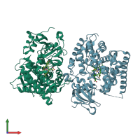 PDB entry 1p0w coloured by chain, front view.